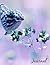 Journal: College Ruled Comp...