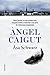 Àngel caigut