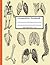 Composition Notebook: Human Anatomy illustrations Composition Book| Wide ruled theme medical Antique design Notebook gift idea, Large Size 8.5 x 11, 200 Pages .