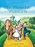 The Wonderful Wizard of OZ : illustrated edition