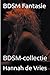 BDSM Fantasie (Bdsm-Collectie)