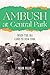 Ambush at Central Park: Whe...
