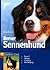 Berner Sennenhund. Auswahl, Haltung, Erziehung, Beschäftigung.