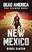 Dead America New Mexico (The Second Week) by Derek Slaton