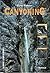 Canyoning. Ein Lehr- und Lernbuch. by Stefan Hofmann