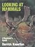 Looking at Mammals - a Begi...