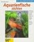 Aquarienfische Zuchten