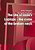 The Life of Lizzie's Laptops - the curse of the broken neck by Emily Gregory