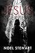 The Jesus Interviews by Noel Stewart