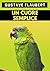 Un cuore semplice (Italian Edition)