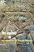 My Journey of Kemetic Centered Thought Remedy by Bakhet Ma'at Sat Ra