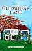Gulmohar Lane
