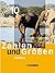 Zahlen und Größen, Gesamtsc...