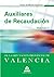 Auxiliares de recaudación d...