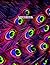 Notebook: Peacock Print Com...