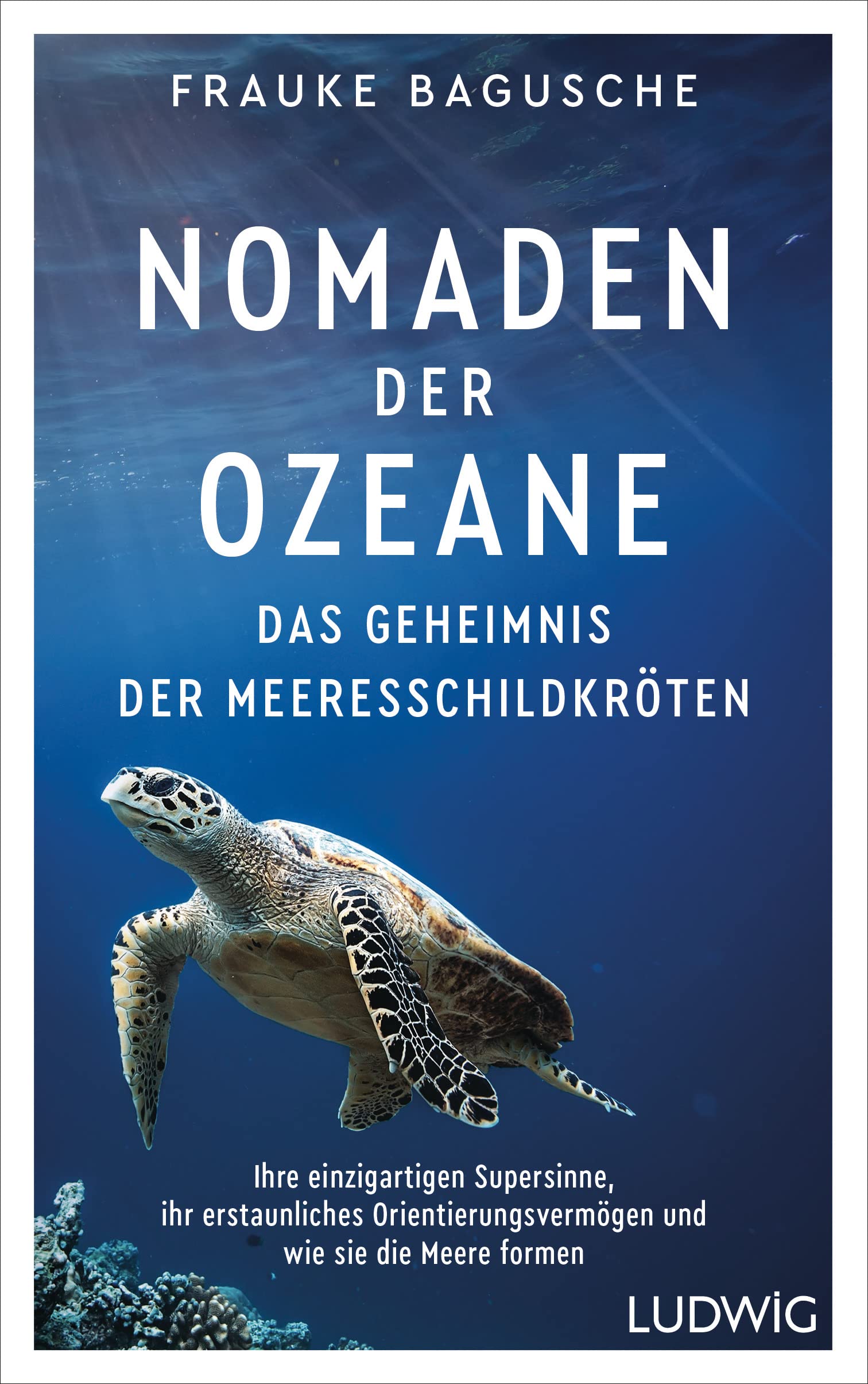 Nomaden der Ozeane – Das Geheimnis der Meeresschildkröten: Ihre einzigartigen Supersinne, ihr erstaunliches Orientierungsvermögen und wie sie die Meere formen (German Edition)