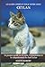 Le guide complet pour votre chat Ceylan by Maïté Robert