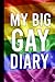 My Big Gay Diary by K. Mason