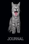 Journal