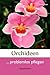 Orchideen problemlos pflegen