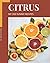My 350 Yummy Citrus Recipes by Mayra Rivera