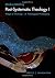 Post-Systematic Theology: W...