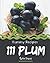 111 Yummy Plum Recipes by Robin Depaz