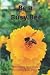 Be A Busy Bee: Project and ...