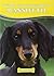 Bassotto by Susan McCullough