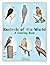 Kestrels of the World - A C...