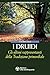 I Druidi. Gli ultimi rappresentanti della Tradizione primordiale by Alan Stivell