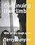 Continuing the climb by Terry Runyan