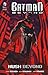 Batman Beyond: Hush Beyond