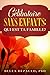 Célibataire, Sans Enfants : Qui Est Ta Famille? (French Edition)