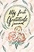 My First Gratitude Journal: Help You Find The Good In Each Day and Get You in the Right Frame of Mind
