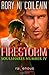 Firestorm: SoulShares Number IV (Volume 4)