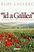 «Id a Galilea»: Al encuentr...