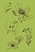 Floral Botanical Journal
