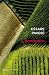 Il compagno (Italian Edition)