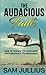 The Audacious FAITH: How To...