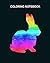 Coloring Book: rabbit bunny...