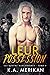 Leur possession (Les quatre mercenaires #3)