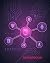 Notebook Dot: Cryptocurrenc...