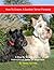 How to Groom A Scottish Terrier Perfectly by Tammy Sprinkle