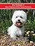 How to Groom A West Highland White Terrier Perfectly by Tammy Sprinkle
