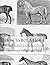 How To Buy A Horse: Instruc...
