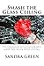 Smash the Glass Ceiling by Sandra Green