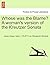 Whose Was the Blame? a Woman's Version of the Kreutzer Sonata by James Gregor