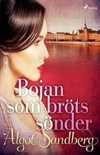 Omslag för Bojan som bröts sönder