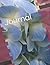 Journal